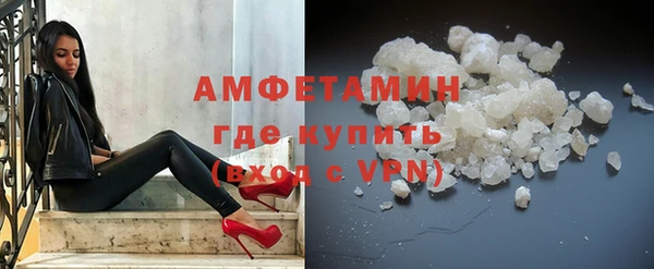 сатива Гусев