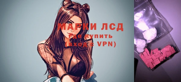 сатива Гусев