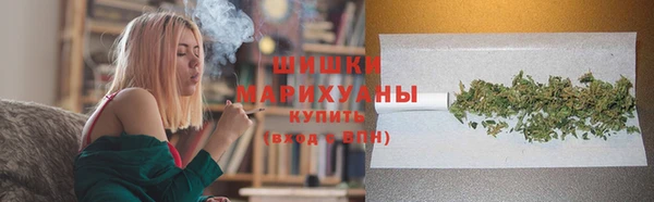 сатива Гусев