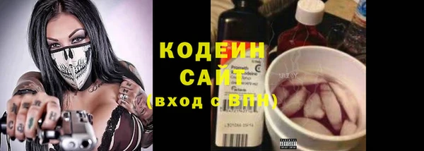 ГАЛЛЮЦИНОГЕННЫЕ ГРИБЫ Гусиноозёрск