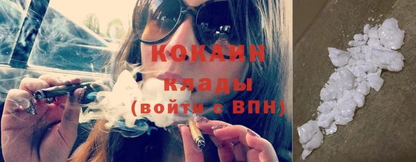 сатива Гусев