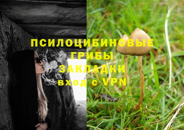 сатива Гусев