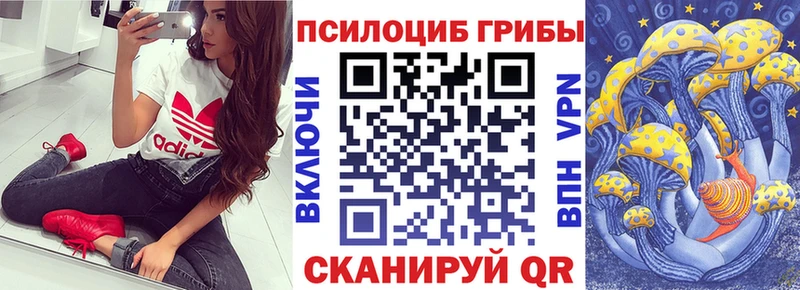 Псилоцибиновые грибы Psilocybine cubensis  Гаврилов-Ям 